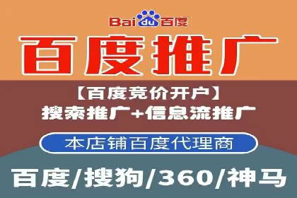 某企业通过SEM实现品牌与销售双增长的案例